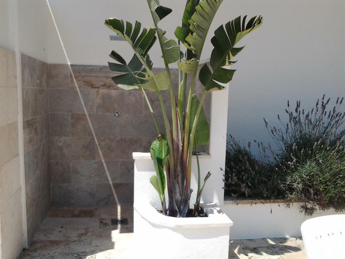 Apartamento Sol- Fanals Apartment Lloret de Mar Exterior photo